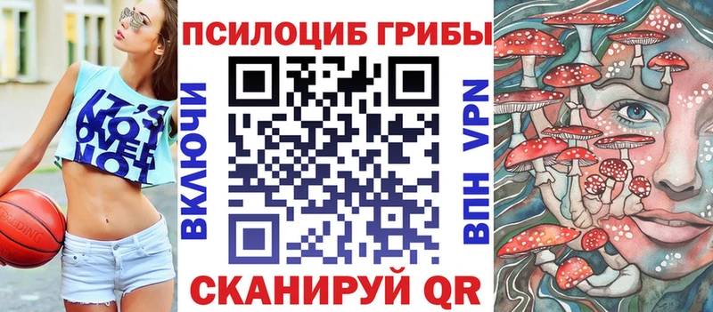 Галлюциногенные грибы GOLDEN TEACHER  Купить где  Черногорск 