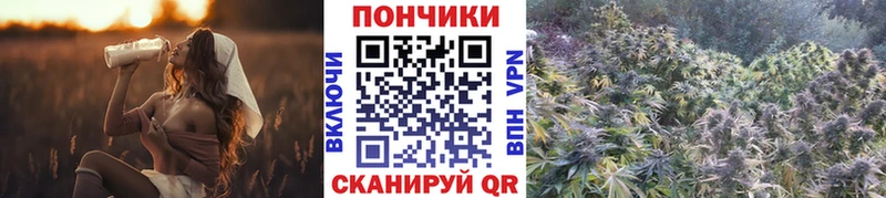 Марихуана Amnesia  Купить закладки  Черногорск 